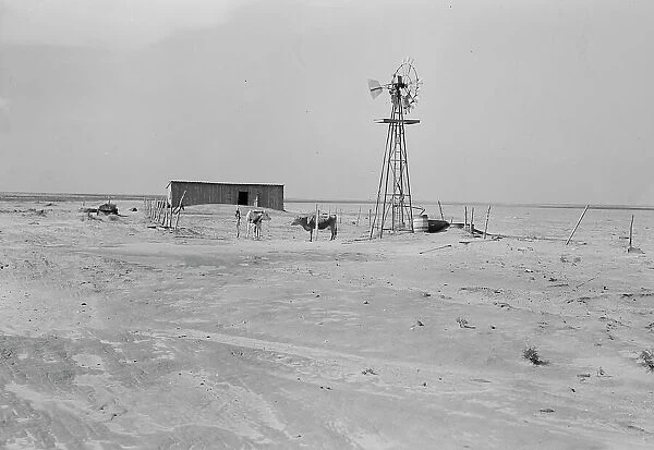 Barn and shed of farm in the Texas Panhandle, near Boise City, Texas, 1938. Creator: Dorothea Lange