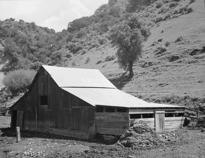 Framed Print : Barn in a valley back of Mission San Jose, Santa Clara County, California, 1939. Creator: Dorothea Lange Framed Print : Barn in a valley back of Mission San Jose, Santa Clara County, California, 1939. Creator: Dorothea Lange