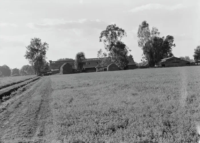 Framed Print : Barns of the old Mineral King Ranch seen across alfalfa field, Tulare County, California, 1938. Creator: Dorothea Lange Framed Print : Barns of the old Mineral King Ranch seen across alfalfa field, Tulare County, California, 1938. Creator: Dorothea Lange