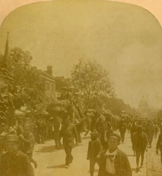 Framed Print : Barnums Parade, Penn. Ave. Washington D. C. late 19th-early 20th century. Creator: Unknown Framed Print : Barnums Parade, Penn. Ave. Washington D. C. late 19th-early 20th century. Creator: Unknown