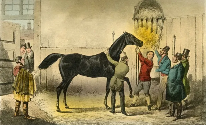 Framed Print : The Baron vills his Wet, 1838. Artist: Henry Thomas Alken Framed Print : The Baron vills his Wet, 1838. Artist: Henry Thomas Alken