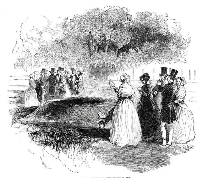 Framed Print : Barrows in Greenwich Park, 1844. Creator: Unknown Framed Print : Barrows in Greenwich Park, 1844. Creator: Unknown