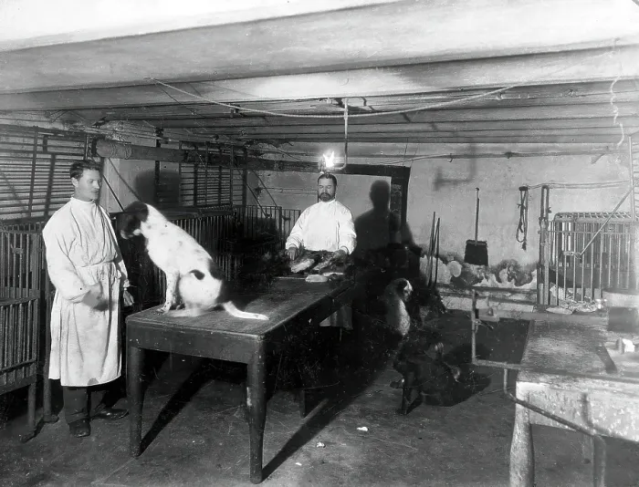 Framed Print : A basement (possibly the pre-operative room in the Physiology Department), Imperial... 1904. Creator: Unknown Framed Print : A basement (possibly the pre-operative room in the Physiology Department), Imperial... 1904. Creator: Unknown