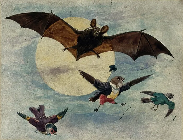 Framed Print : A bat and three fully dressed birds flying by moonlight, 1900. Creator: George Hope Tait Framed Print : A bat and three fully dressed birds flying by moonlight, 1900. Creator: George Hope Tait