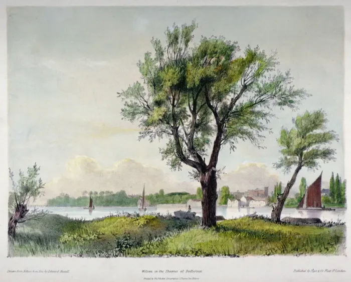 Framed Print : Battersea, London, 1840. Artist Framed Print : Battersea, London, 1840. Artist