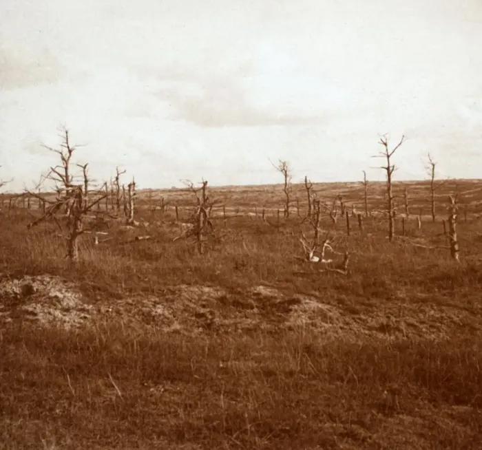 Framed Print : Battlefield, Tahure, northern France, c1914-c1918 Framed Print : Battlefield, Tahure, northern France, c1914-c1918