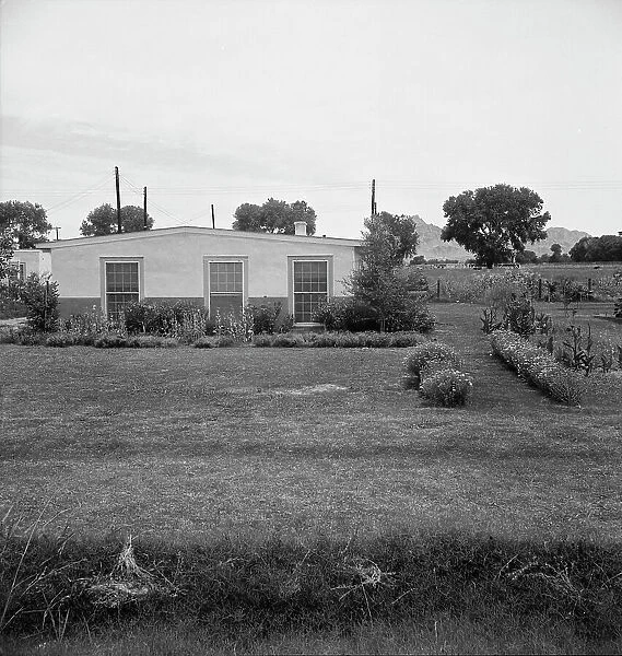 Baxter project, Farm Security Administration, near Baxter, Arizona, 1938. Creator: Dorothea Lange