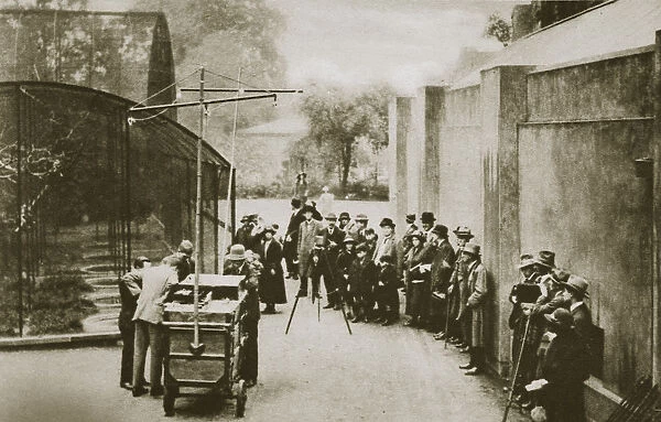 BBC broadcast from the aviary at London Zoo, 20th century