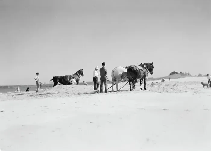 Framed Print : Beach scene with horses, East Hampton, Long Island, between 1933 and 1942. Creator: Arnold Genthe Framed Print : Beach scene with horses, East Hampton, Long Island, between 1933 and 1942. Creator: Arnold Genthe