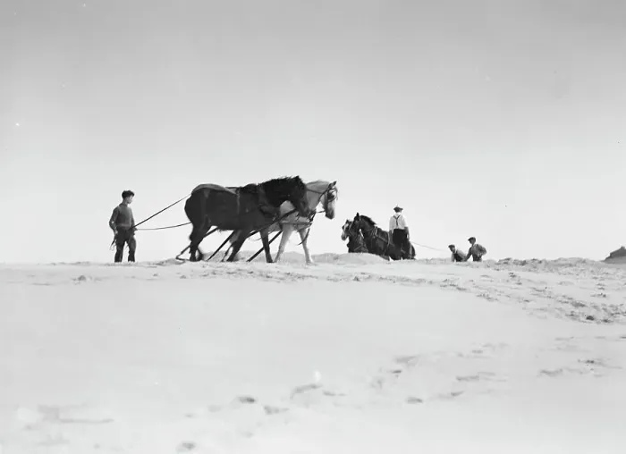 Framed Print : Beach scene with horses, East Hampton, Long Island, between 1933 and 1942. Creator: Arnold Genthe Framed Print : Beach scene with horses, East Hampton, Long Island, between 1933 and 1942. Creator: Arnold Genthe