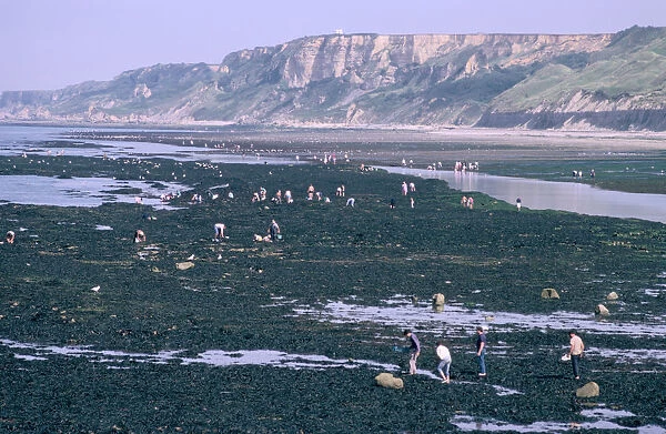 Beachcombers at Port-en-Bessin, Normandy, France