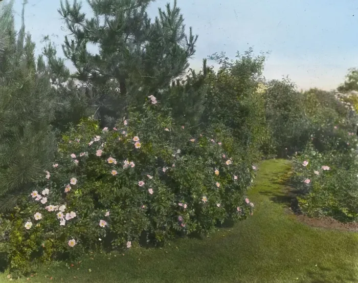 Framed Print : Beacon Hill House, Arthur Curtiss James house, Beacon Hill Road, Newport, Rhode Island, 1917. Creator: Frances Benjamin Johnston. Beacon Hill House, Arthur Curtiss James house, Beacon Hill Road, Newport, Rhode Island, 1917