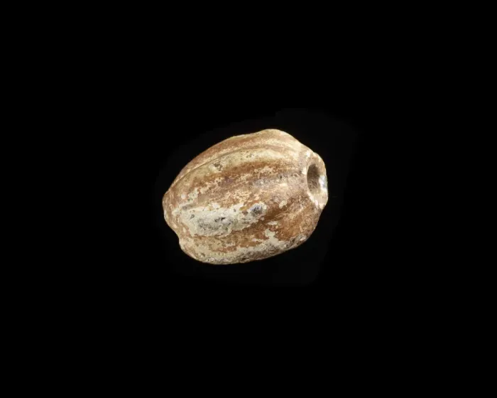 Framed Print : Bead, melon-shaped, New Kingdom, 1550-1196 BCE. Creator: Unknown Framed Print : Bead, melon-shaped, New Kingdom, 1550-1196 BCE. Creator: Unknown