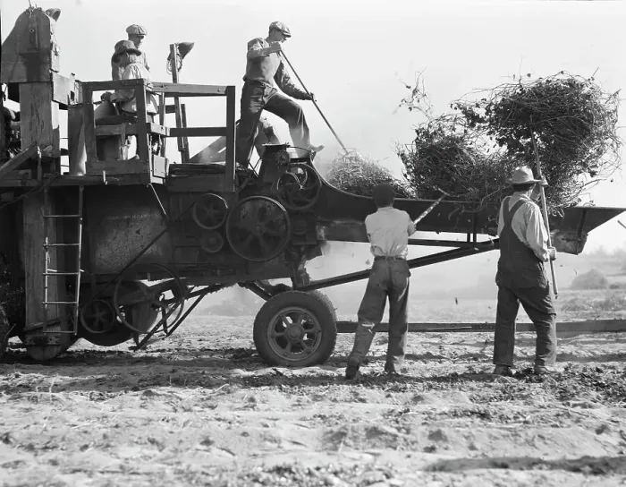Framed Print : Bean thresher, mechanized agriculture between Turlock and Merced, California, 1936. Creator: Dorothea Lange Framed Print : Bean thresher, mechanized agriculture between Turlock and Merced, California, 1936. Creator: Dorothea Lange