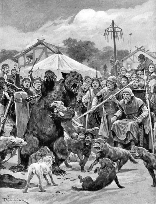 Framed Print : Bear-baiting in Saxon times, (c1920). Artist: Richard Caton Woodville II Framed Print : Bear-baiting in Saxon times, (c1920). Artist: Richard Caton Woodville II