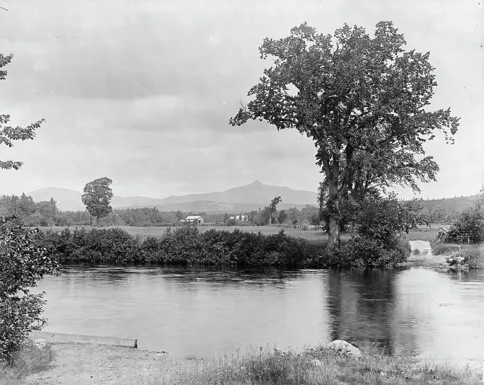 Framed Print : Bear Camp River and Chocorua Mountain, White Mountains, between 1900 and 1906. Creator: Unknown Framed Print : Bear Camp River and Chocorua Mountain, White Mountains, between 1900 and 1906. Creator: Unknown