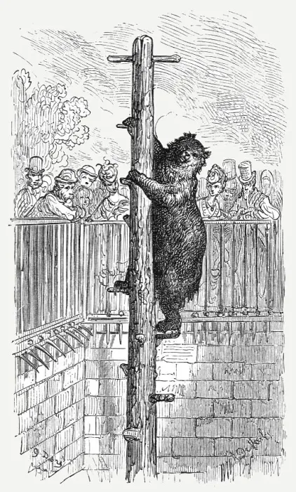 Framed Print : The Bear Pit - Zoological Gardens, 1872. Creator: Gustave Doré Framed Print : The Bear Pit - Zoological Gardens, 1872. Creator: Gustave Doré