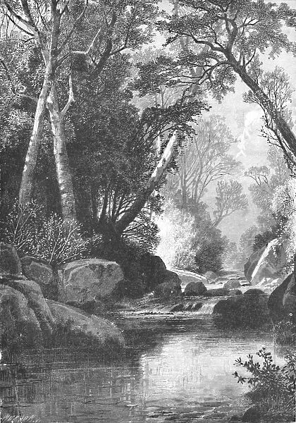 Bear River, Near Bethel, Maine, 1883