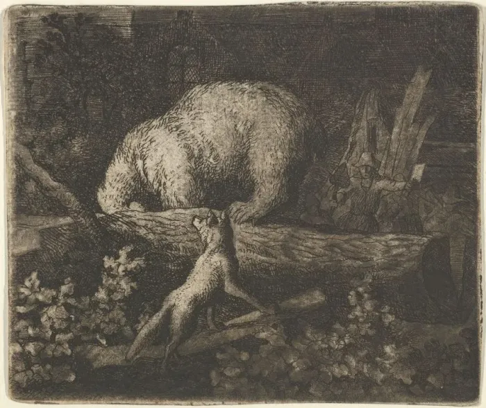 Framed Print : The Bear with His Snout and Forepaws Caught in the Trunk of a Tree, mid-17th century Framed Print : The Bear with His Snout and Forepaws Caught in the Trunk of a Tree, mid-17th century