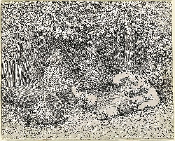Bear Stung by Bees, 1865-1895. Creator: William Holbrook Beard