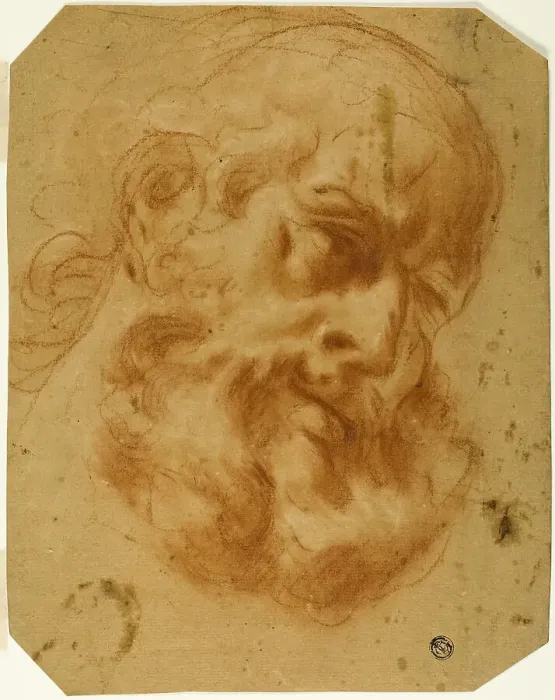 Framed Print : Bearded Head, n.d. Creator: Unknown Framed Print : Bearded Head, n.d. Creator: Unknown
