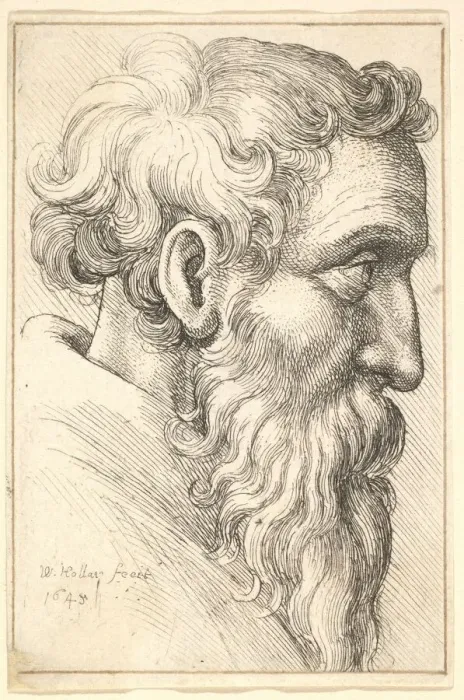 Framed Print : Bearded old man in profile to right, 1645. Creator: Wenceslaus Hollar Framed Print : Bearded old man in profile to right, 1645. Creator: Wenceslaus Hollar
