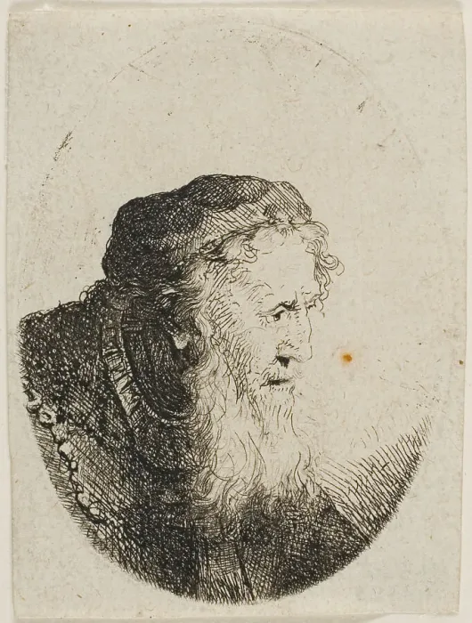 Framed Print : Bearded Old Man in a Skull Cap, n.d. Creator: Ferdinand Bol Framed Print : Bearded Old Man in a Skull Cap, n.d. Creator: Ferdinand Bol