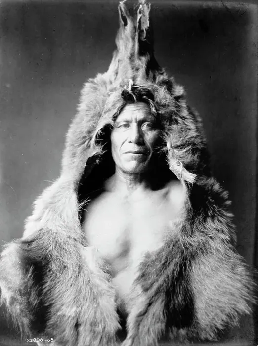 Framed Print : Bear's Belly, Arikara Indian half-length portrait, facing front, wearing bearskin, c1908. Creator: Edward Sheriff Curtis Framed Print : Bear's Belly, Arikara Indian half-length portrait, facing front, wearing bearskin, c1908. Creator: Edward Sheriff Curtis