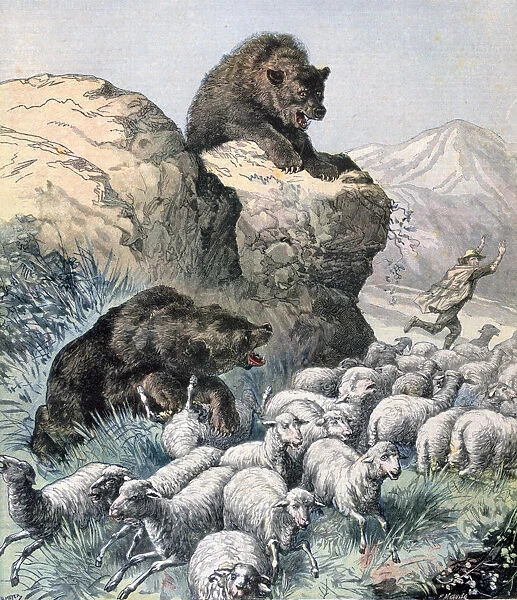 Bears of the Cagyre, 1891. Artist: F Meaulle