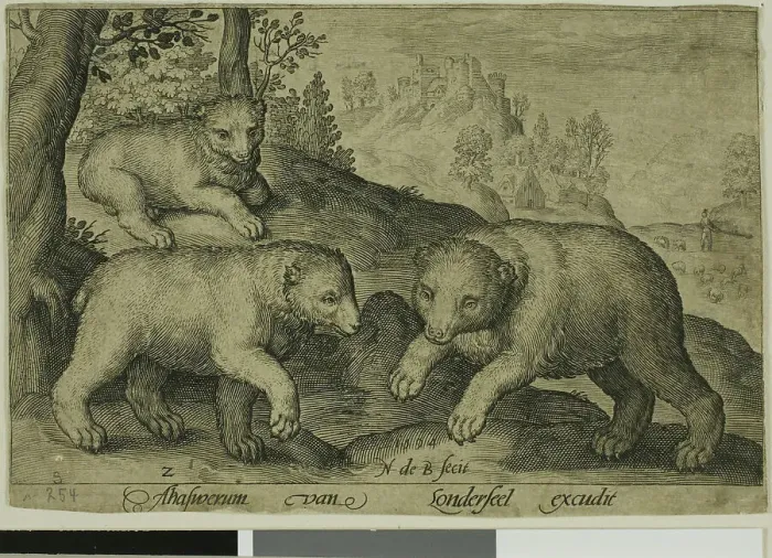 Framed Print : Three Bears, plate ten from Four-Legged Animals, 1594. Creator: Nicolaes de Bruyn Framed Print : Three Bears, plate ten from Four-Legged Animals, 1594. Creator: Nicolaes de Bruyn