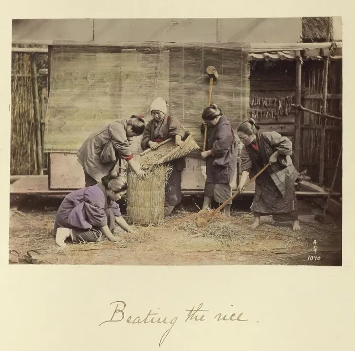 Framed Print : Beating the Rice, about 1873-1883. Creator: Shinichi Suzuki I Framed Print : Beating the Rice, about 1873-1883. Creator: Shinichi Suzuki I