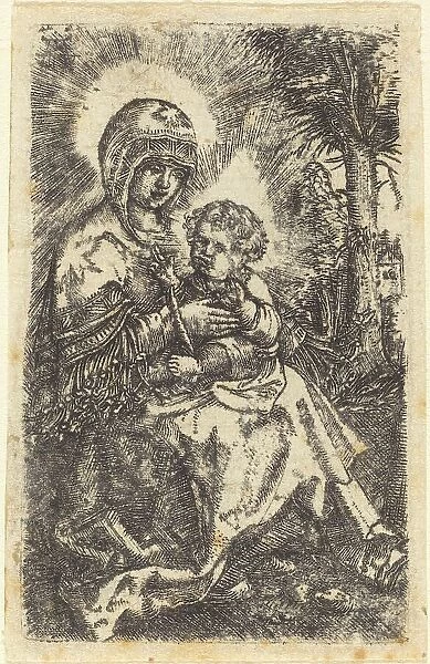The 'Beautiful Virgin' of Ratisbon in a Landscape, c. 1519 / 1520. Creator: Albrecht Altdorfer. The 'Beautiful Virgin' of Ratisbon in a Landscape, c. 1519 / 1520. Creator: Albrecht Altdorfer