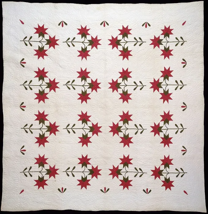 Framed Print : Bedcover (North Carolina Lily Quilt), United States, c.1850. Creator: Unknown Framed Print : Bedcover (North Carolina Lily Quilt), United States, c.1850. Creator: Unknown