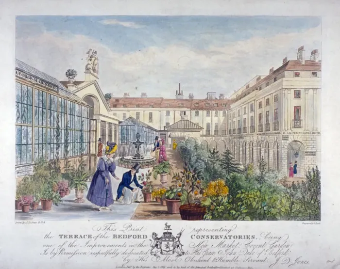 Framed Print : Bedford Conservatories terrace at Covent Garden Market, Westminster, London, 1831 Framed Print : Bedford Conservatories terrace at Covent Garden Market, Westminster, London, 1831