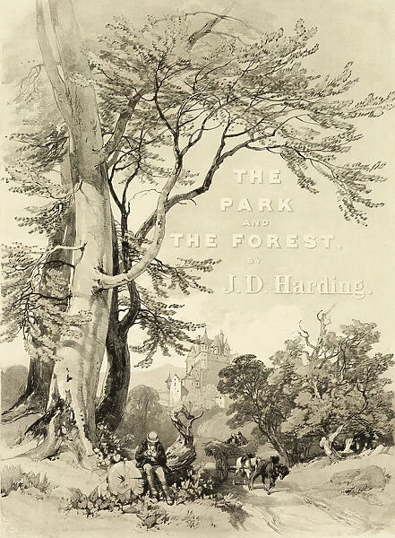 Beech and Oak (Frontispiece), from The Park and the Forest, 1841