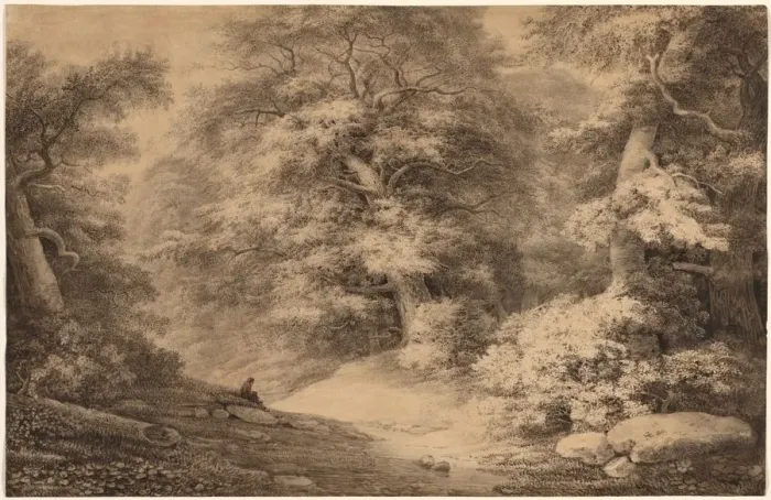 Framed Print : A Beech Wood with a Resting Traveler, 1803. Creator: Christoph Nathe (German, 1753-1806) Framed Print : A Beech Wood with a Resting Traveler, 1803. Creator: Christoph Nathe (German, 1753-1806)
