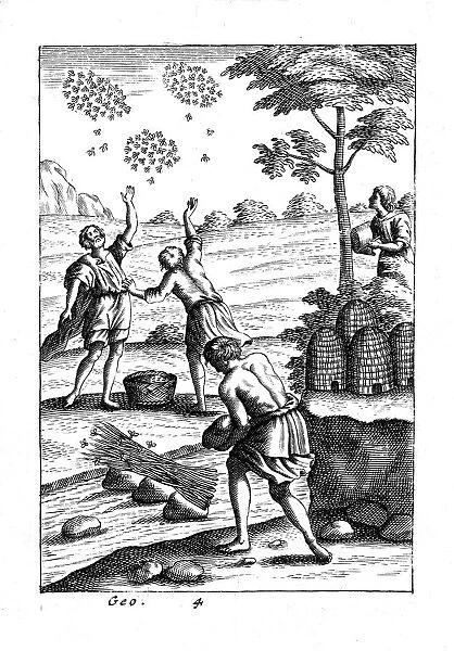 Beekeepers preparing to take a swarm, 18th century