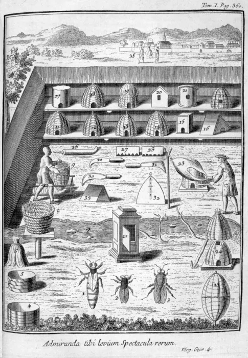 Framed Print : Beekeeping, 1775 Framed Print : Beekeeping, 1775