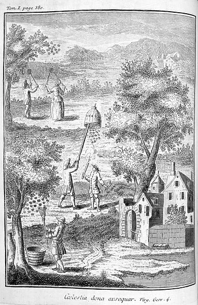 Beekeeping, 1775. A print from La nouvelle maison rustique
