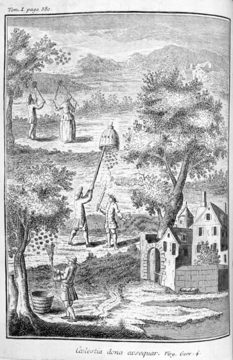 Framed Print : Beekeeping, 1775 Framed Print : Beekeeping, 1775