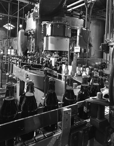 Beer bottles being filled at Ward & Sons, Swinton, South Yorkshire, 1960. Artist