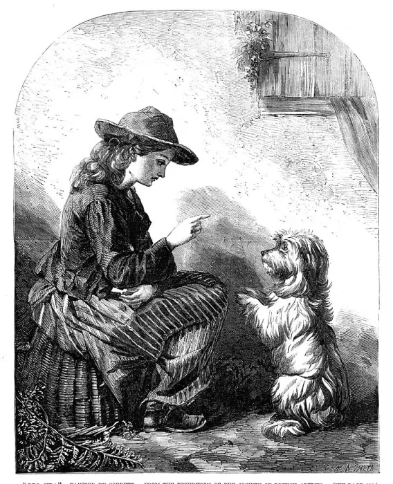Framed Print : Beg, Sir! - painted by Cobbett, from the Exhibition of the Society of British Artists, 1857. Creator: Harvey Orrin Smith. Beg, Sir! - painted by Cobbett, from the Exhibition of the Society of British Artists, 1857 Framed Print : Beg, Sir! - painted by Cobbett, from the Exhibition of the Society of British Artists, 1857. Creator: Harvey Orrin Smith. Beg, Sir! - painted by Cobbett, from the Exhibition of the Society of British Artists, 1857