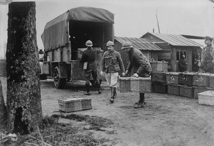 Framed Print : Belgian Army pigeons, between c1915 and c1920. Creator: Bain News Service Framed Print : Belgian Army pigeons, between c1915 and c1920. Creator: Bain News Service
