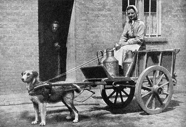 A Belgian milkwoman on her morning round, Belgium, 1922. Artist: Donald McLeish