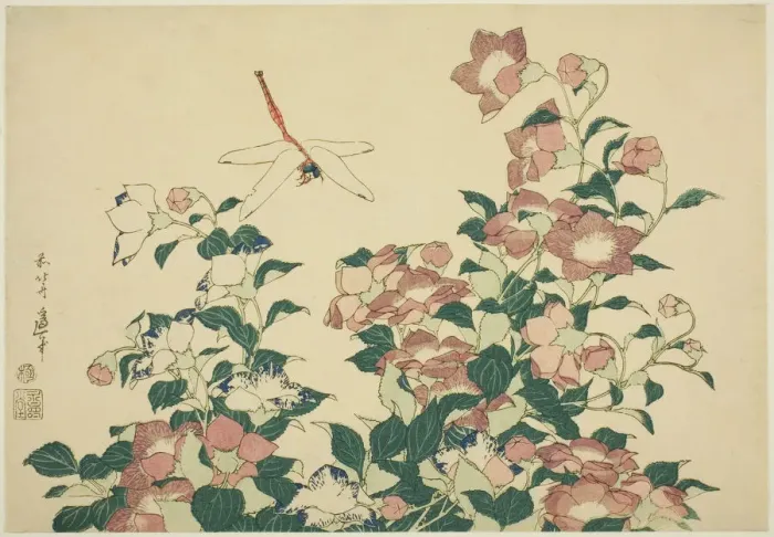 Framed Print : Bell-Flower and Dragonfly, from an untitled series of large flowers, Japan, c. 1833 / 34 Framed Print : Bell-Flower and Dragonfly, from an untitled series of large flowers, Japan, c. 1833 / 34