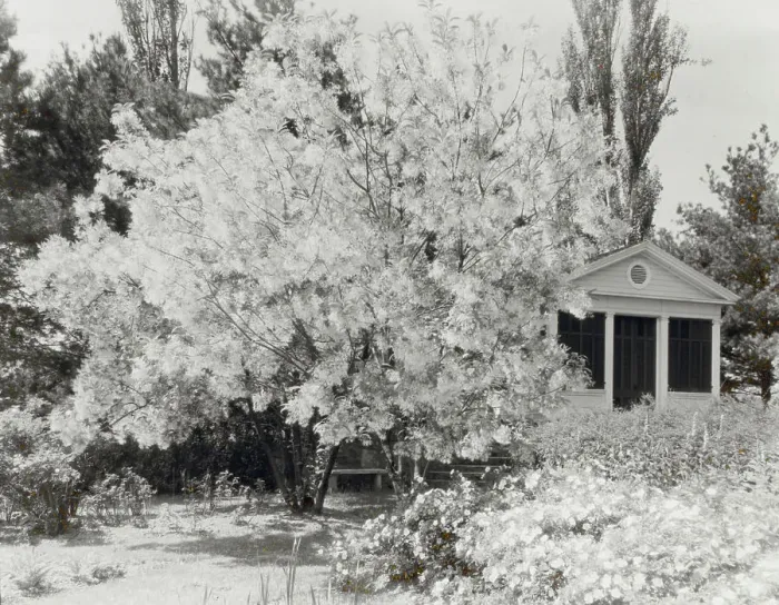 Framed Print : Belvoir, Fairfax Harrison house, Star Route 709, The Plains, Fauquier County, Virginia, 1928. Creator: Frances Benjamin Johnston. Belvoir, Fairfax Harrison house, Star Route 709, The Plains, Fauquier County, Virginia, 1928 Framed Print : Belvoir, Fairfax Harrison house, Star Route 709, The Plains, Fauquier County, Virginia, 1928. Creator: Frances Benjamin Johnston. Belvoir, Fairfax Harrison house, Star Route 709, The Plains, Fauquier County, Virginia, 1928