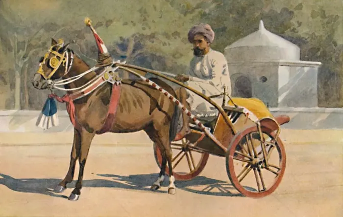 Framed Print : A Benares Ekka, c1880 (1905). Artist: Alexander Henry Hallam Murray Framed Print : A Benares Ekka, c1880 (1905). Artist: Alexander Henry Hallam Murray