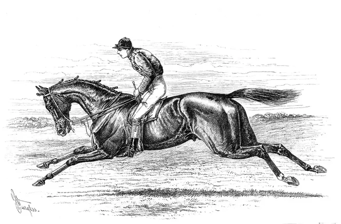 Framed Print : Bend Or, the winner of the Derby, 1880. Creator: Unknown Framed Print : Bend Or, the winner of the Derby, 1880. Creator: Unknown