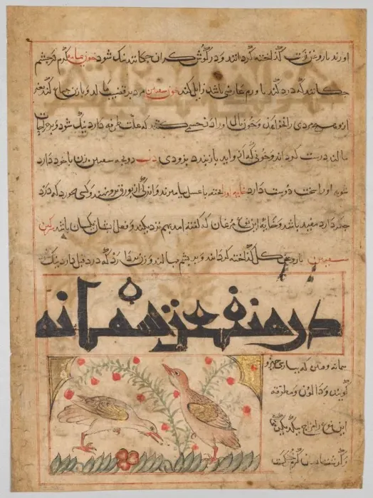 Framed Print : On the Benefits of Quails (verso) from a Manafi al-Hayawan... c. 1300. Creator: Unknown Framed Print : On the Benefits of Quails (verso) from a Manafi al-Hayawan... c. 1300. Creator: Unknown