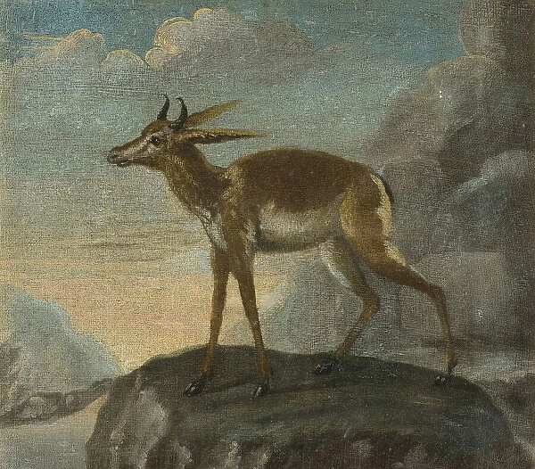 Bengal deer, late 17th-early 18th century. Creator: David Kock